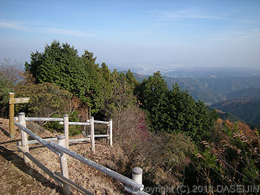 101128日の出山・山頂から東京方面の眺め