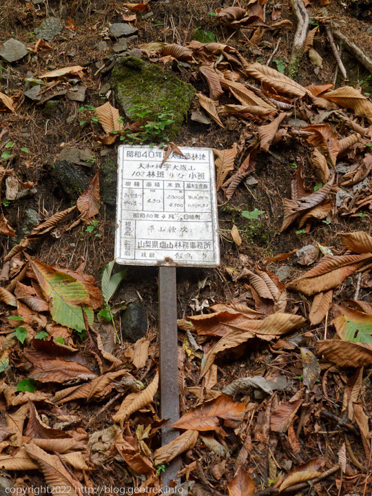 20221015　曲り沢、造林地の標識