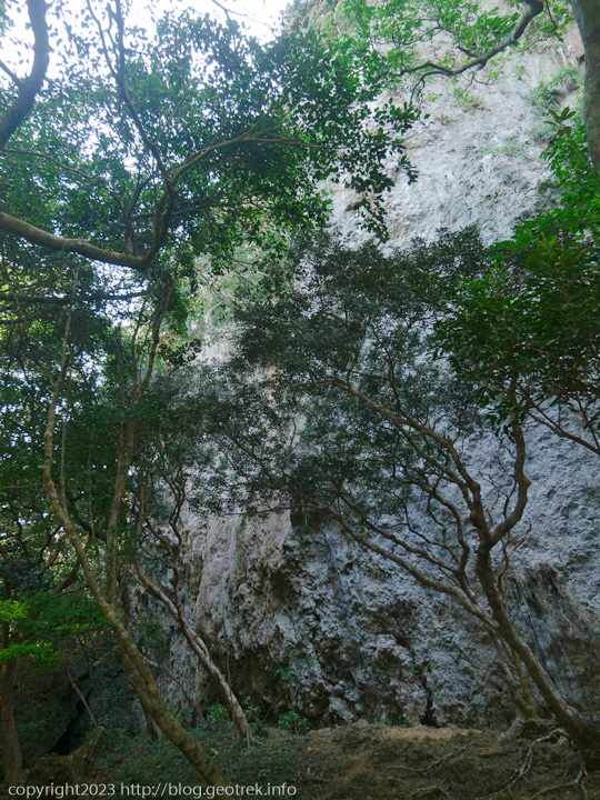 20230216　台湾・墾丁森林遊楽区　石灰岩の露岩