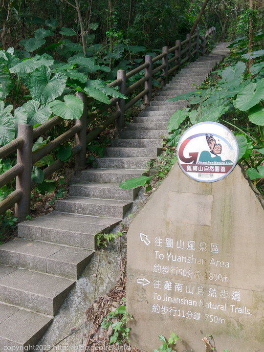 20230211 雞南山自然園區から圓山風景区への分岐
