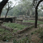 20231228 インド・ラージャスターン、メヘローリー遺跡公園、林の中の遺跡