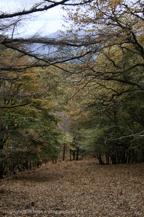 20241110 六ッ石山・トオノクボから広い尾根