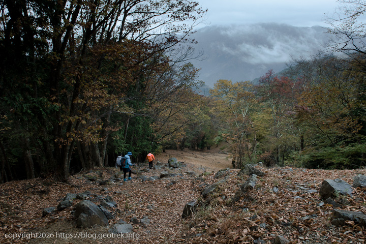 20241110 六ッ石山・石尾根の下り