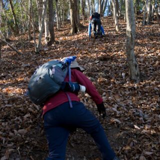 20241214 江戸小屋尾根・九竜山への登り