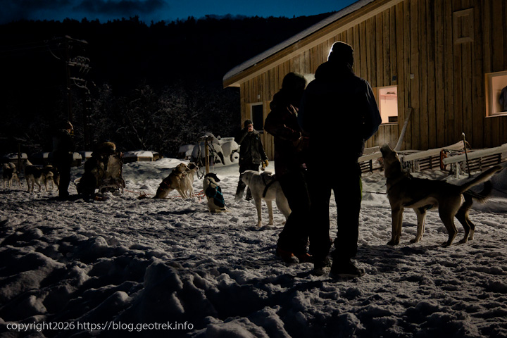 20241227 スカンジナビア・スノーホテルの犬ぞり