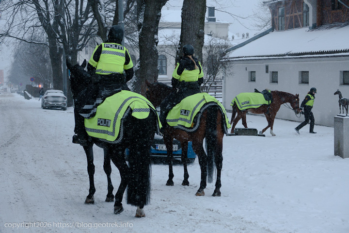 20241227 スカンジナビア・オスロの騎馬警察