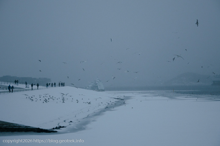 20241227 スカンジナビア・ムンク美術館へ