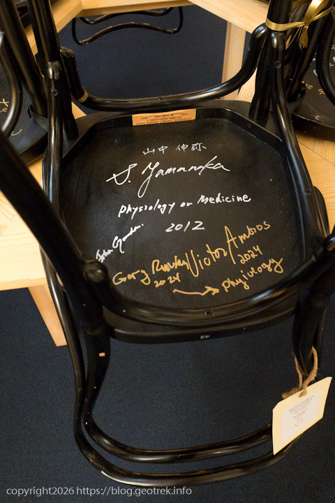 20241227 スカンジナビア、ストックホルム、ノーベル博物館のカフェの椅子