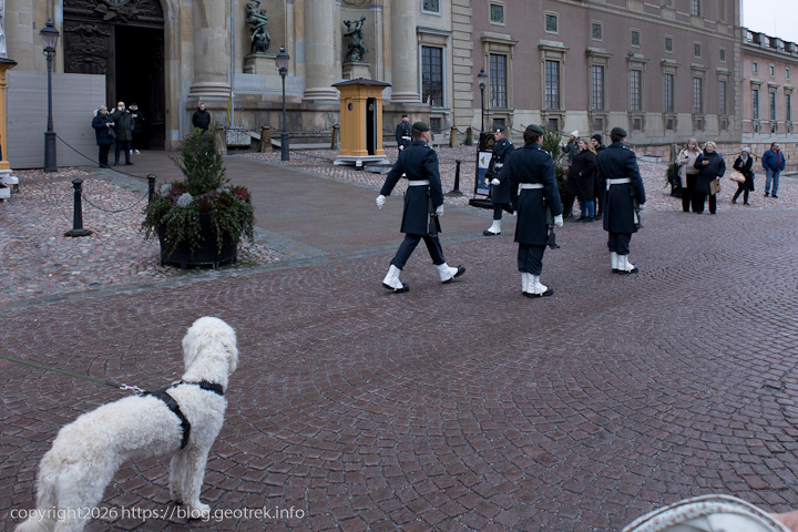 20241227 スカンジナビア・スウェーデン王宮の衛兵交替1