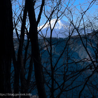 20250126浅間尾根・木立の合間から富士山