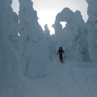 20250202西吾妻山・樹氷の合間を登る