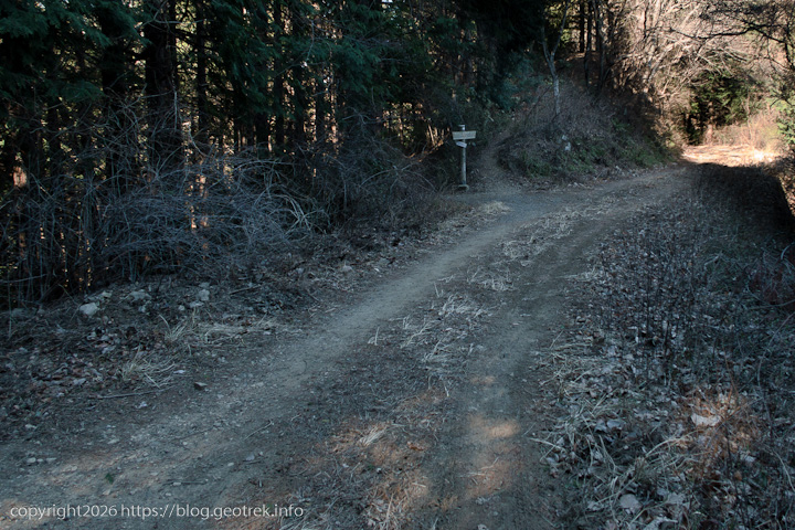 20250208北高尾山稜・林道に出る