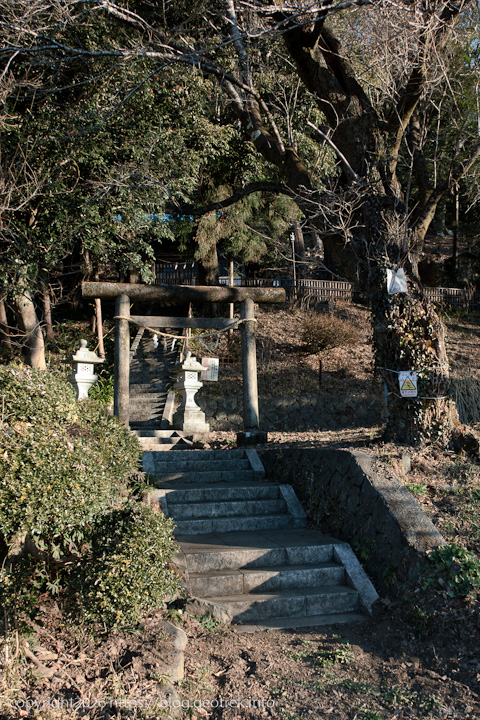 20250208北高尾山稜・右折すると神社、ここを左折