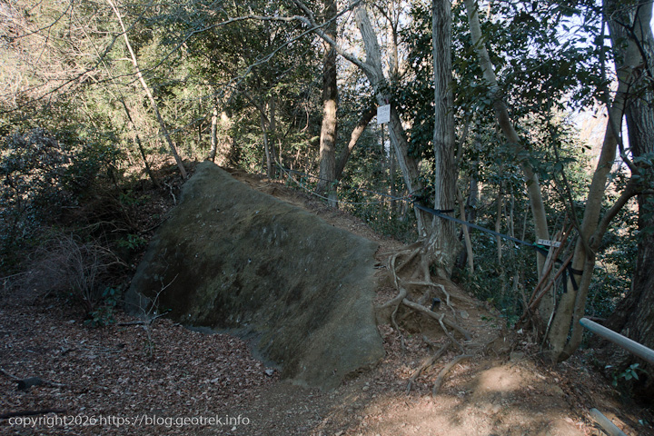 20250208北高尾山稜・稜線のとりつき