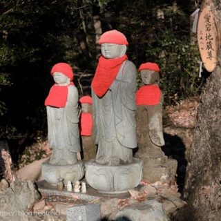 20250208北高尾山稜・地蔵ピーク