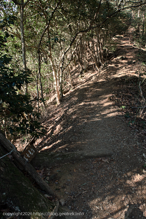 20250208北高尾山稜・地蔵ピークから先の尾根