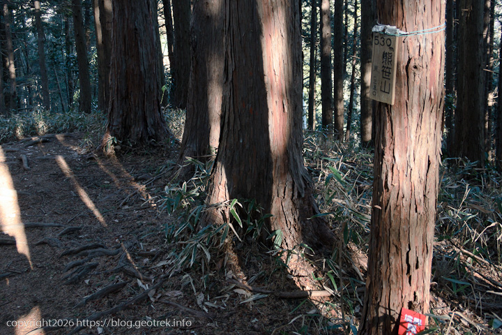20250208北高尾山稜・熊笹山