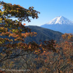 山を越えて富士五湖へ～本社ヶ丸から河口湖アルプス（１）