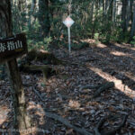 20241124 赤指尾根・赤指山山頂