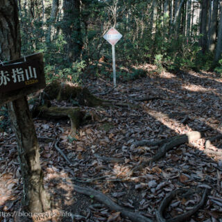 20241124 赤指尾根・赤指山山頂