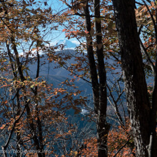 20241124 赤指尾根・尾平山から富士山